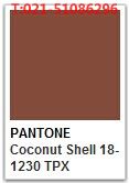 Pantone Coconut Shell Tpx Pantone