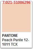 PANTONE Peach Purée 12-1011 TCX _色号查询_PANTONE 潘通色卡国内代理商--彩虹国际色卡-您色彩选择的好