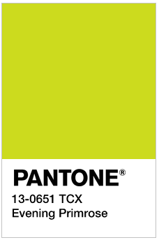 PANTONE 13-0651 TCX Evening Primrose_色号查询_彩虹国际色卡-您色彩选择的好帮手！PANTONE 国内代理