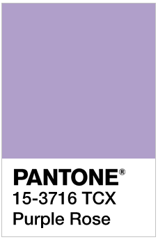 紫色的色卡号图片