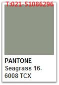 Pantone Seagrass 16 6008 Tcx 色号查询 彩虹国际色卡专卖店 您色彩选择的好帮手 Pantone 中国代理商 欢迎您的光临 潘通色卡国际通用