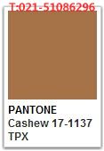 Pantone Cashew 17-1137 Tpx  色号查询 Pantone 潘通色卡国内代理商--彩虹国际色卡-您色彩选择的好帮手！潘通 