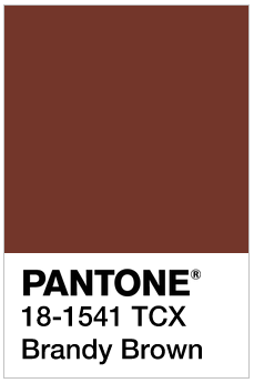 Pantone SMART Color Swatch Card 18-1541 TCX (Brandy Brown)